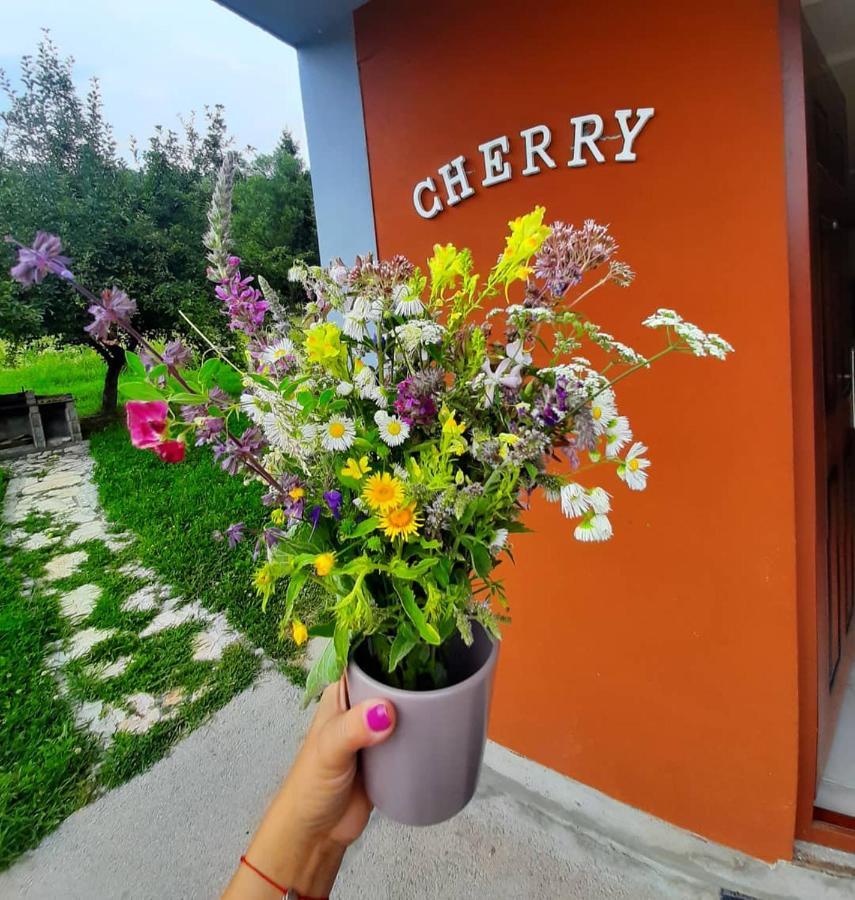 Apartman Cherry Gradac Валево Екстериор снимка