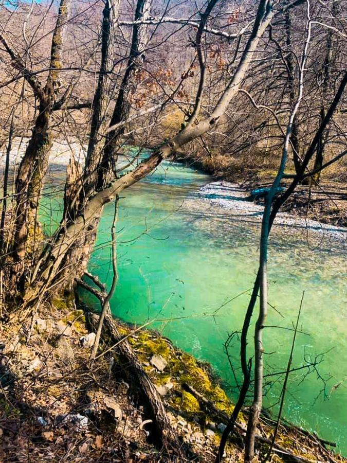 Apartman Cherry Gradac Валево Екстериор снимка