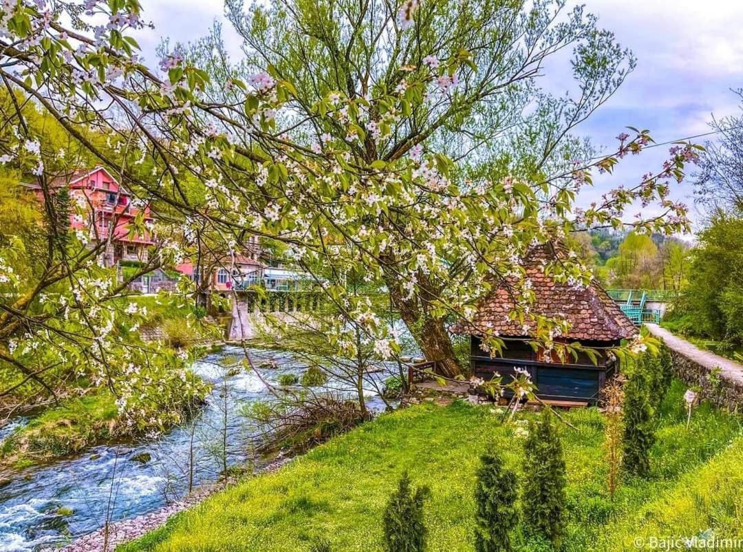 Apartman Cherry Gradac Валево Екстериор снимка