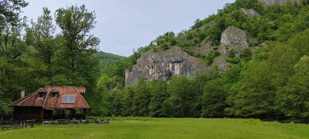 Apartman Cherry Gradac Валево Екстериор снимка