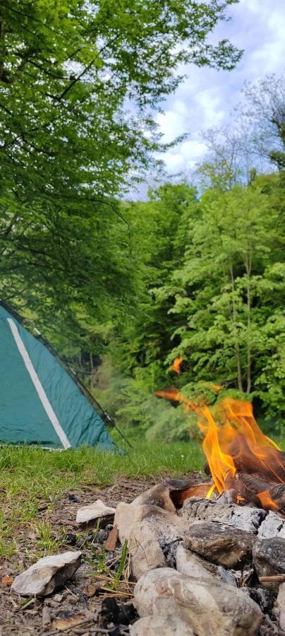 Apartman Cherry Gradac Валево Екстериор снимка