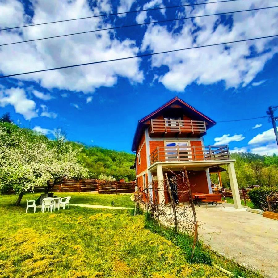 Apartman Cherry Gradac Валево Екстериор снимка