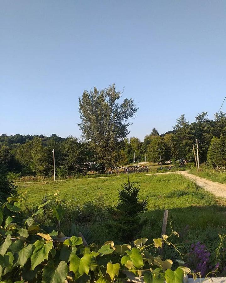 Apartman Cherry Gradac Валево Екстериор снимка
